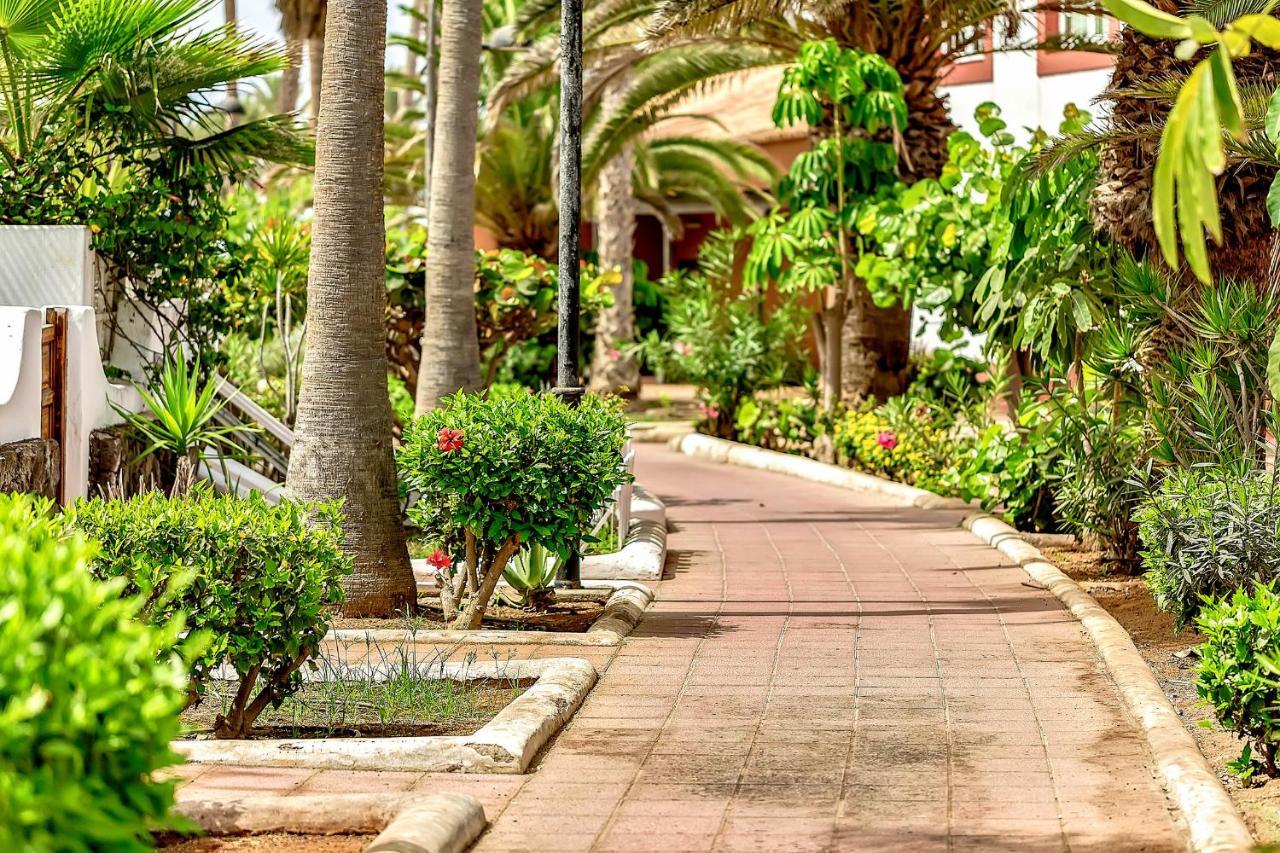 Parque Santiago 2 Luxury Studio Apartment Playa de las Americas  Zewnętrze zdjęcie